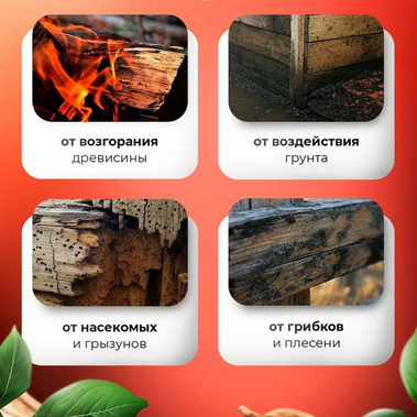 Огнебиозащита II группа PaintPro (10л)