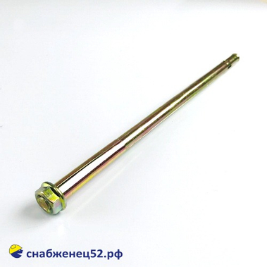 Болт анкерный с гайкой 10,0*250