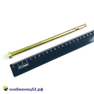 Болт анкерный с гайкой 10,0*200